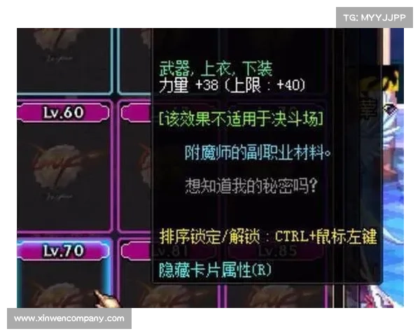 控偶师揭秘地下城与勇士的隐秘力量与战术策略