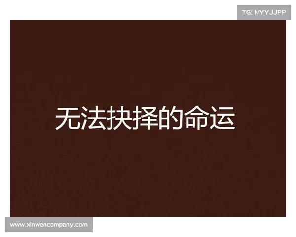 英雄命运与破碎王国的纠葛与抉择之道