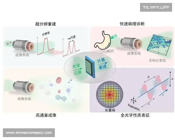 冰虫鳞片在生物材料领域的创新应用与未来发展前景分析 冰虫鳞片在生物材料领域的创新应用与未来发展前景分析