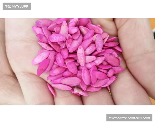 《神奇蜘蛛侠:当青春的责任与成长的痛楚交织成英雄之路》 《神奇蜘蛛侠:当青春的责任与成长的痛楚交织成英雄之路》