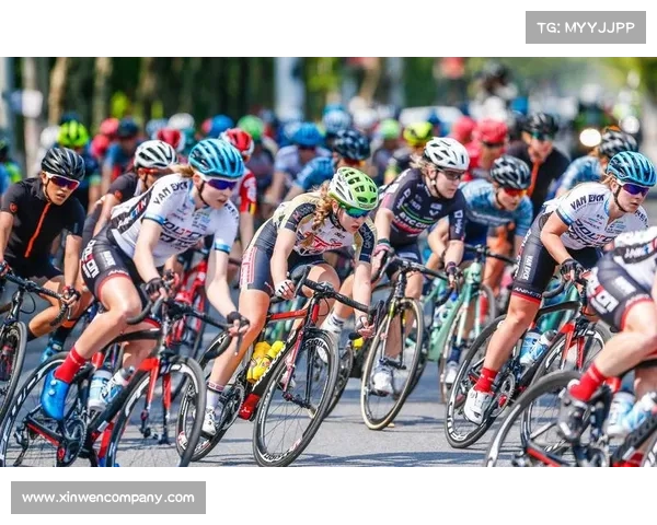 奥运会弓箭比赛评分标准及其影响因素解析